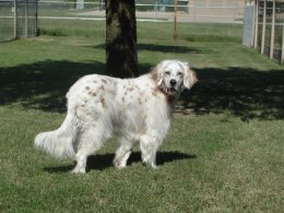 Ethel Mae 9.12 Ethel Mae 9.12